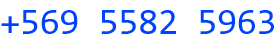 Phone Number
